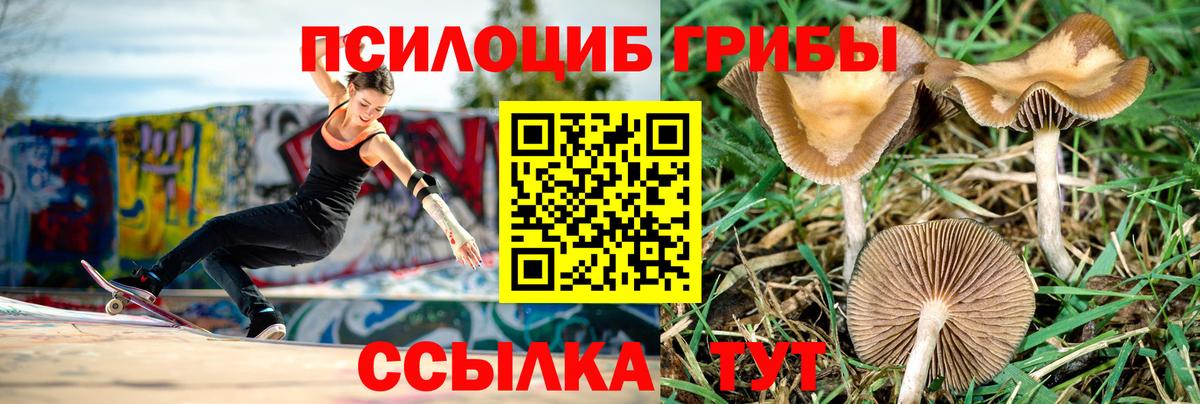 Великий Новгород  Псилоцибиновые грибы мухоморы  Вход с VPN 